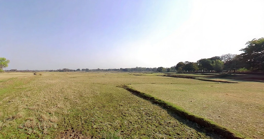 Lodhma, Jharkhand 834004, India