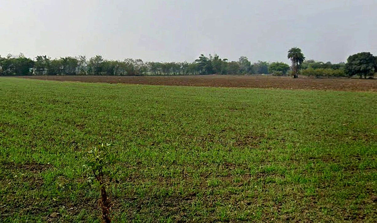 Gautampura, Madhya Pradesh 457555, India