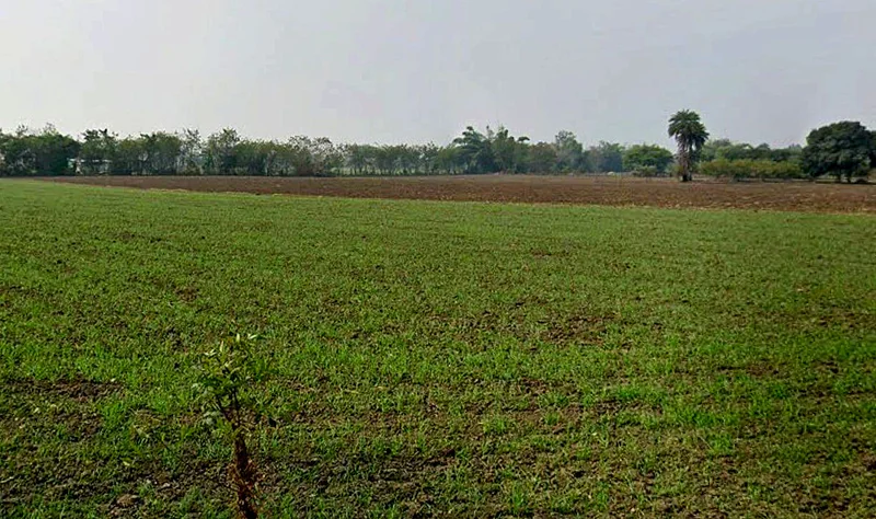 Gautampura, Madhya Pradesh 457555, India preview 2