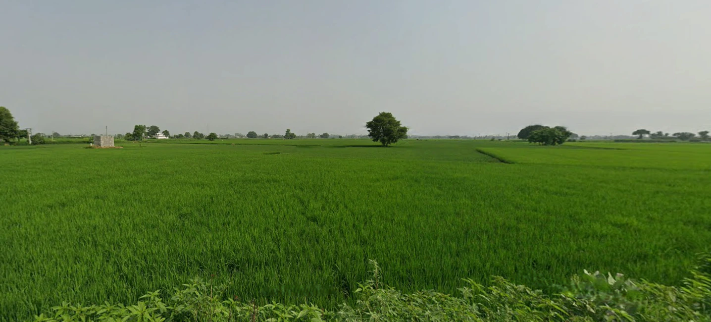 Amritsar, Punjab, India