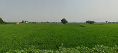 Amritsar, Punjab, India preview 3