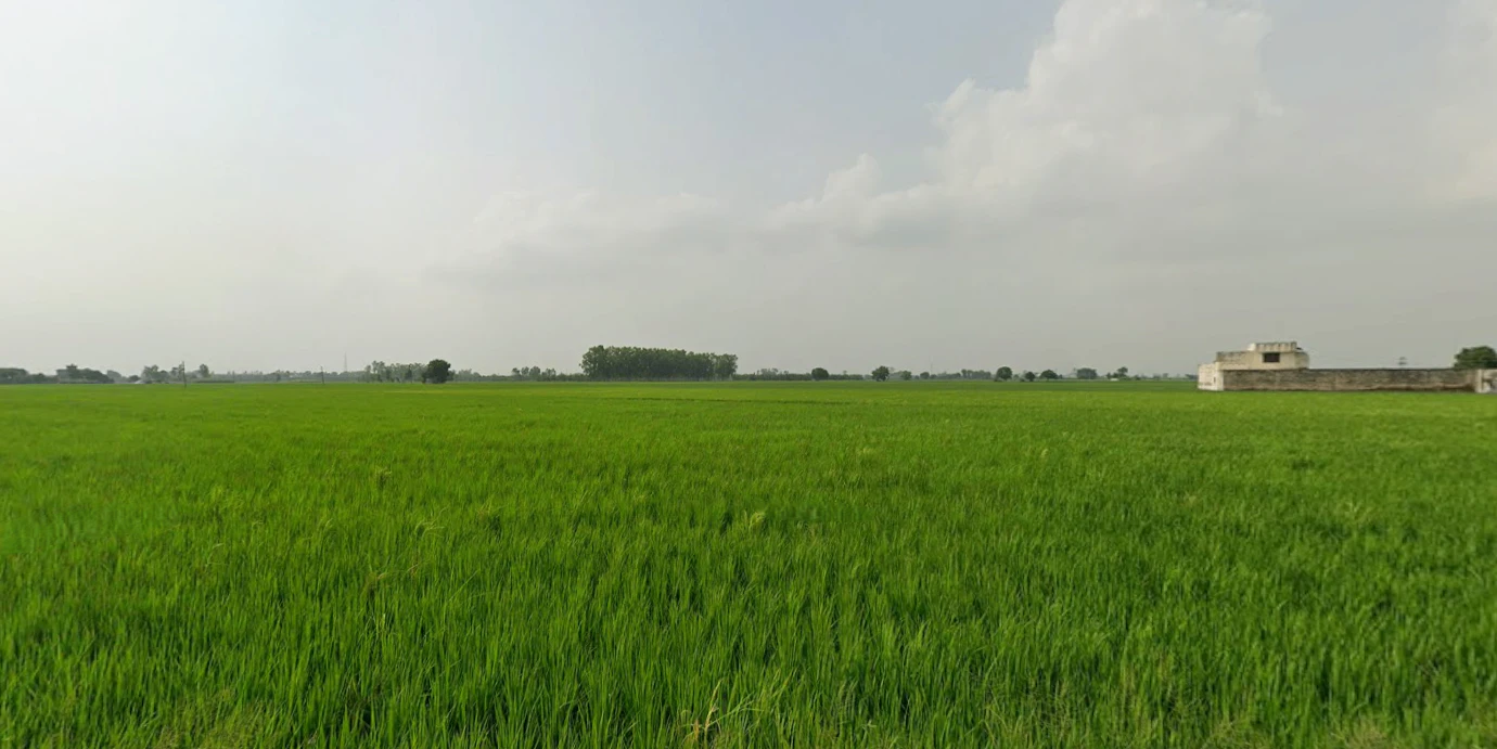 Amritsar, Punjab, India