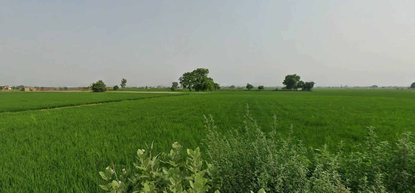 Amritsar, Punjab, India