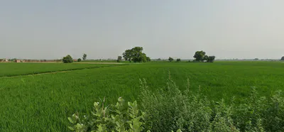 Amritsar, Punjab, India preview 3