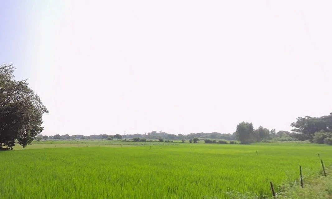 Dr. Ambedkar Nagar, Madhya Pradesh 453441, India