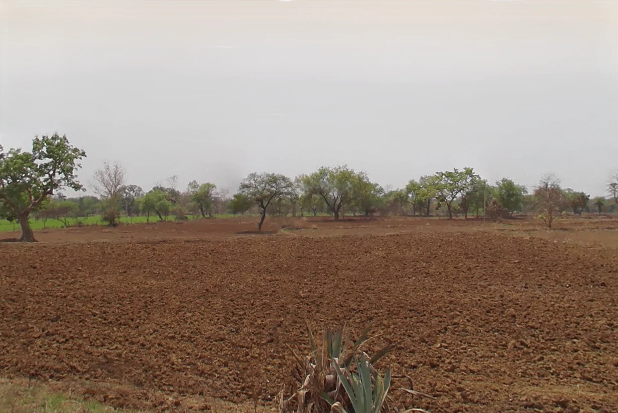 Dewakar, Chhattisgarh 495224, India