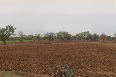 Dewakar, Chhattisgarh 495224, India preview 3