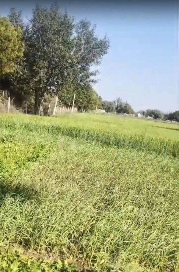 Machari, Rajasthan 301408, India preview 3