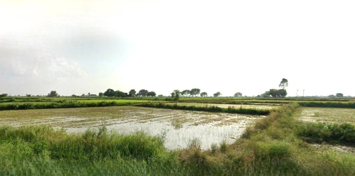 70, Sector 23 Main Rd, Vikas Nagar, Sonipat, Haryana 131001, India