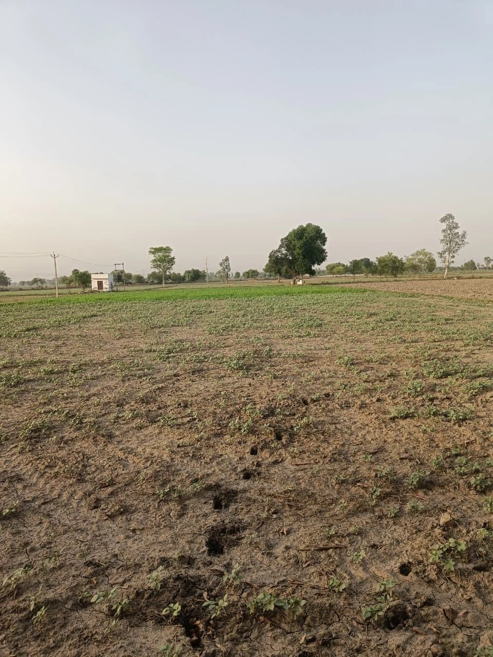 Bahadurpur, Rajasthan 301409, India