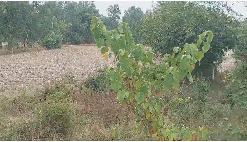 Sahasa, Uttar Pradesh 243302, India