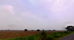 Tibbi, Haryana 134204, India preview 3