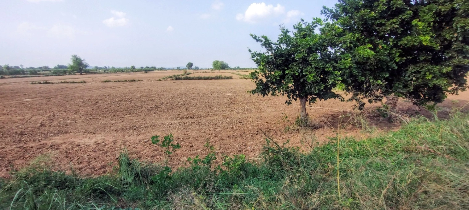 Nagla Chahar, Rajasthan 321203, India