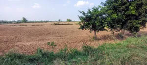 Nagla Chahar, Rajasthan 321203, India preview 3