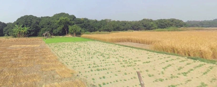 Bandori, Madhya Pradesh 462042, India