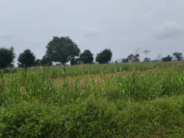 Barodameo, Rajasthan 301021, India preview 4