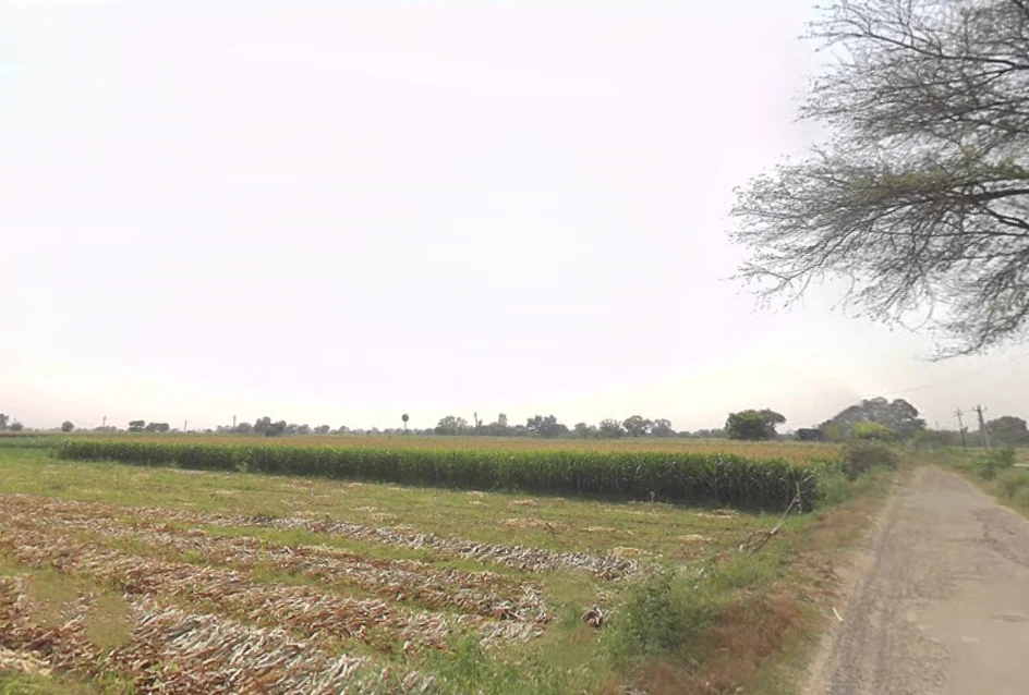 7P7M+96V, Pardalpur, Garhikhanpur, Uttar Pradesh 243723, India