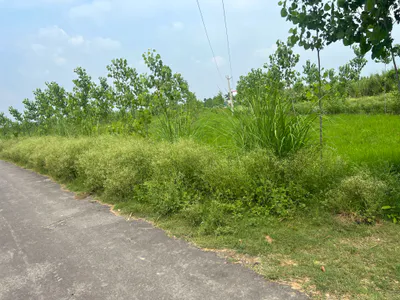 Mawana, Uttar Pradesh, India preview 2