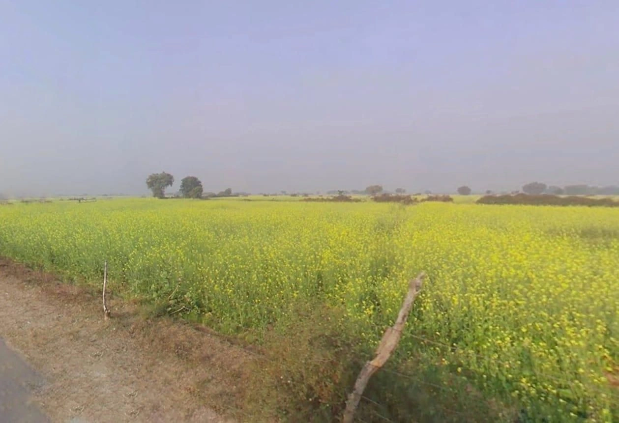 FWQ5+8J Gopalpura, Rajasthan, India