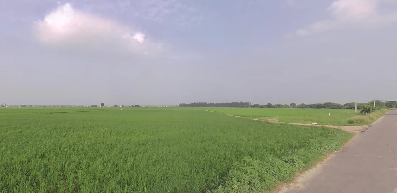 Gotka, Uttar Pradesh 250344, India