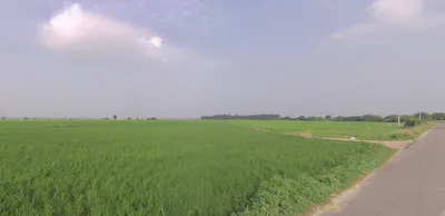 Gotka, Uttar Pradesh 250344, India preview 3