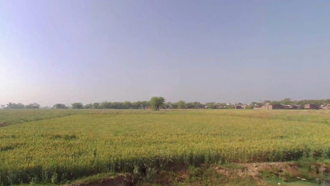 Govind Garh, Rajasthan 301604, India