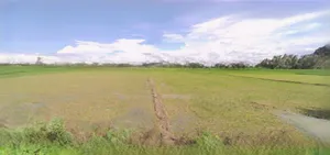 Lucknow, Uttar Pradesh, India preview 2