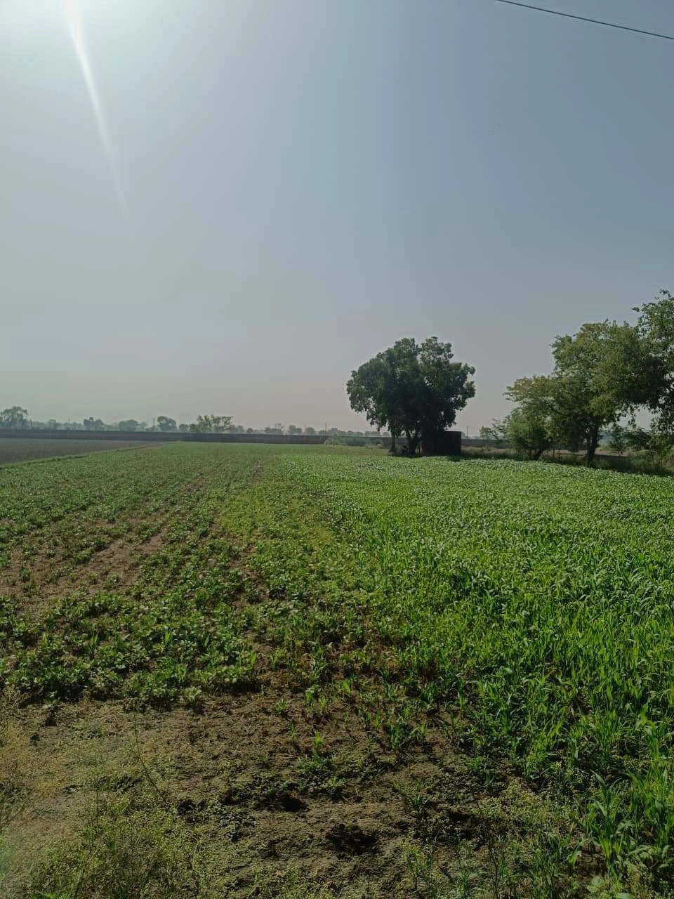 Ajhai Kalan, Uttar Pradesh 281406, India