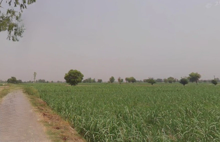Dungar, Uttar Pradesh 250502, India
