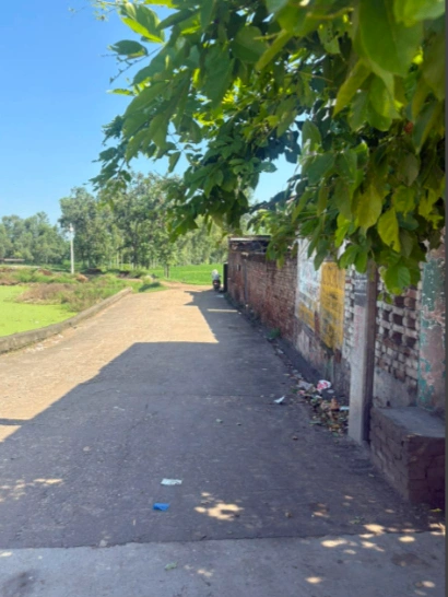 W85G+84F, Saharanpur, Malakpur, Uttar Pradesh 247342, India