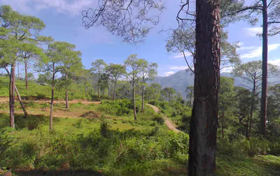 Renuka Ji, Himachal Pradesh 173022, India preview 2