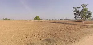 Kot Jewar, Rajasthan 303338, India preview 3
