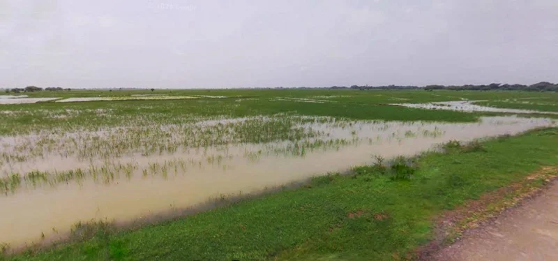 Satna, Madhya Pradesh, India preview 2