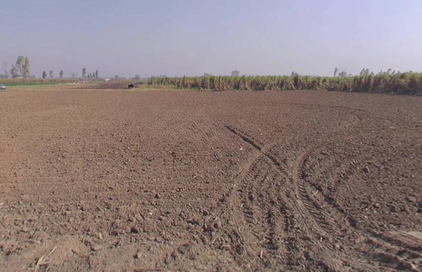 Bhainsa, Uttar Pradesh 250401, India
