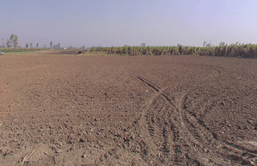 Bhainsa, Uttar Pradesh 250401, India