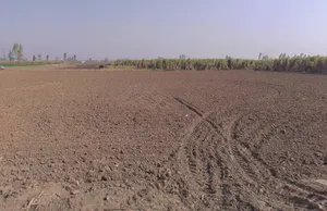 Bhainsa, Uttar Pradesh 250401, India preview 3