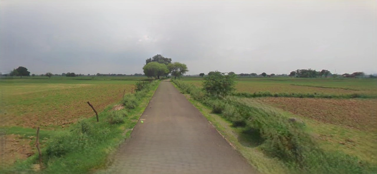 Barnagar, Madhya Pradesh 456771, India