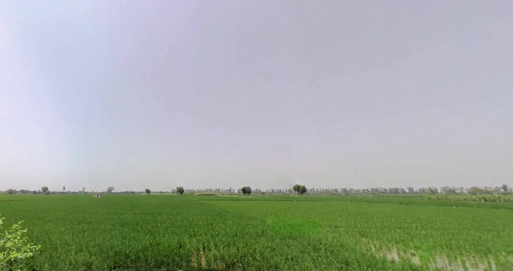 7472+Q69, Panipat, Matnauli, Haryana 132122, India