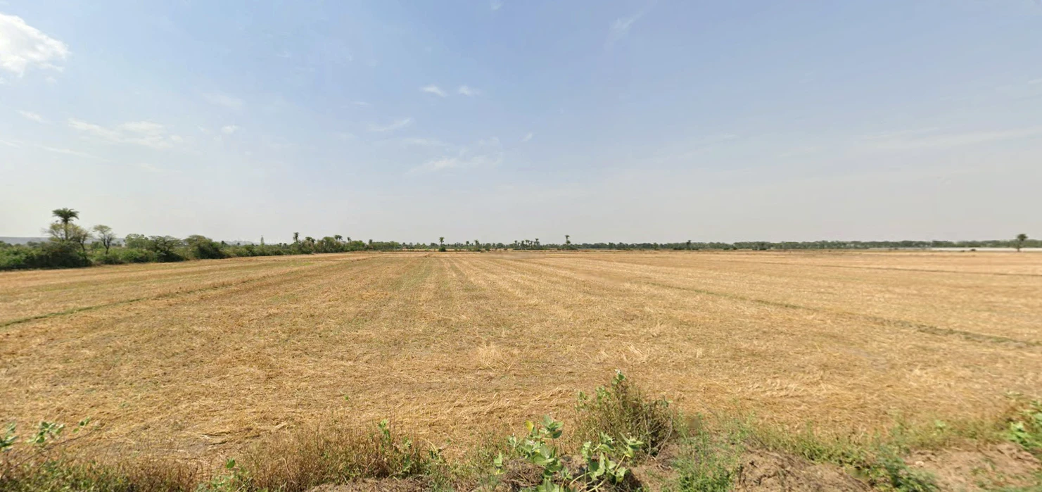 Ellenabad, Haryana 125102, India