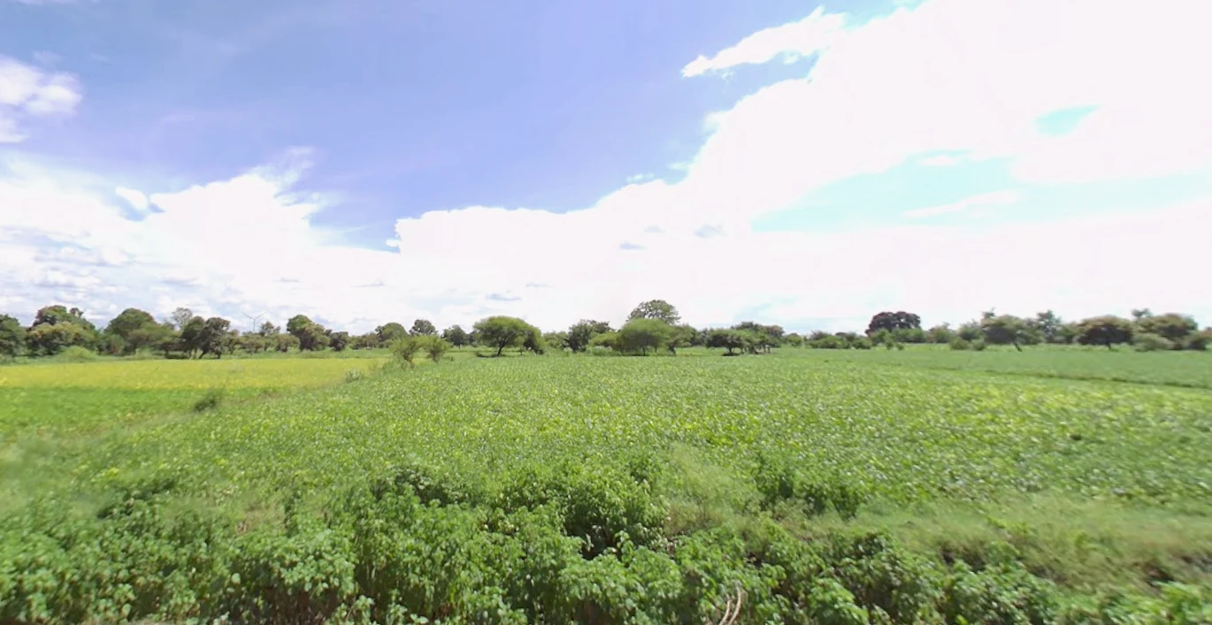 Lasudiya, Madhya Pradesh 458883, India preview 2