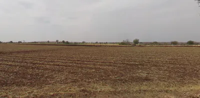 Balwada, Madhya Pradesh 451228, India preview 3