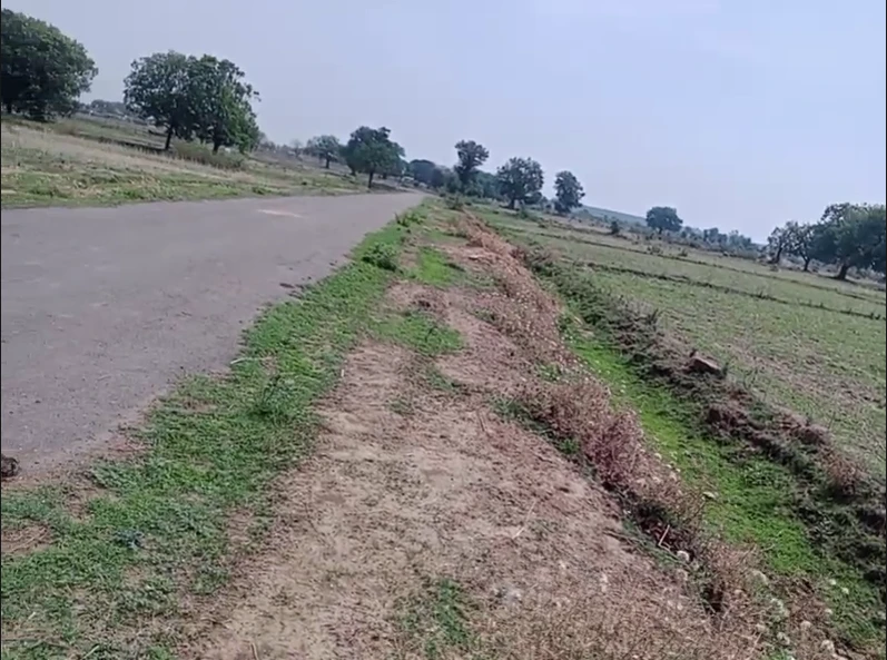 5C8X+9X Semara, Uttar Pradesh, India