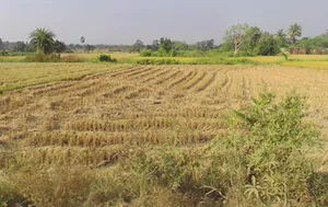 Chhindoli, Chhattisgarh 493996, India preview 3