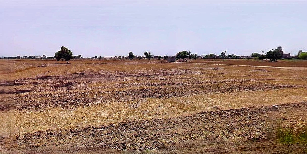 Dewas, Madhya Pradesh 455001, India