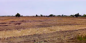 Dewas, Madhya Pradesh 455001, India preview 3