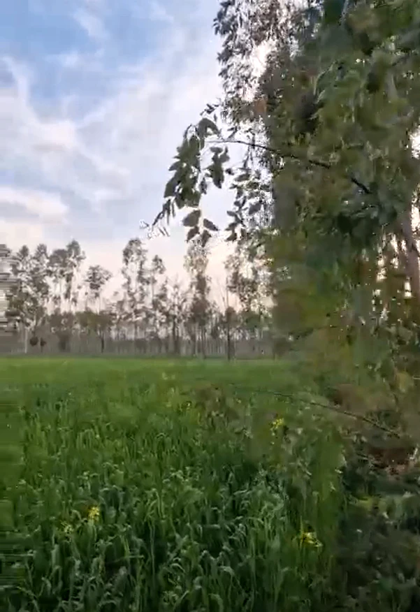 Jatowala, Uttarakhand 248197, India