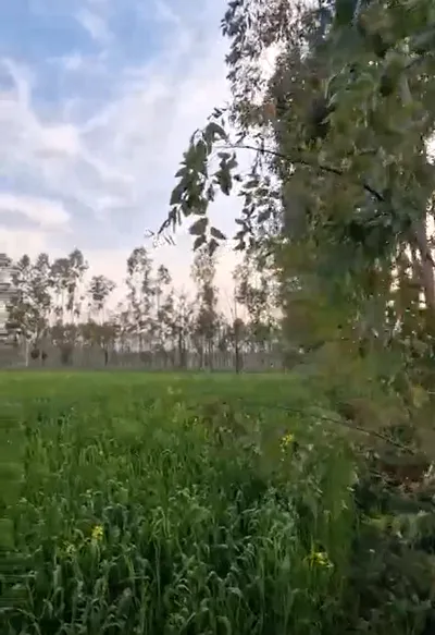 Jatowala, Uttarakhand 248197, India preview 3