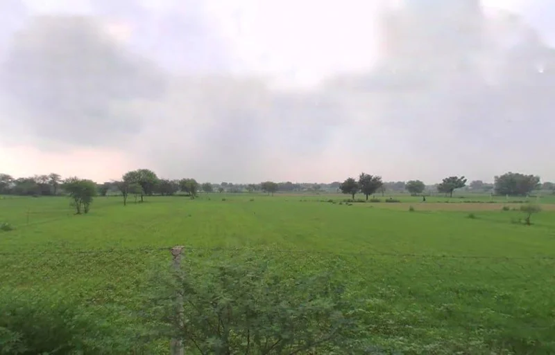 Pali, Rajasthan 306401, India preview 2