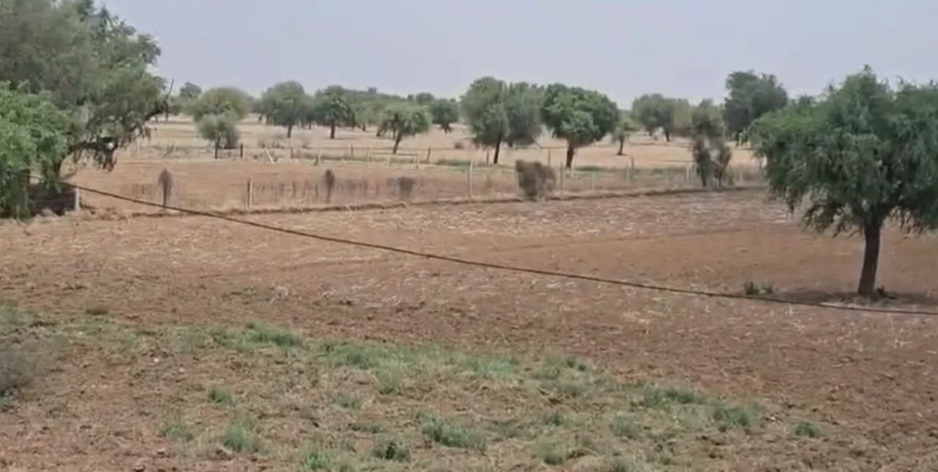 Surajgarh, Jhunjhunu, Rajasthan 333029, India