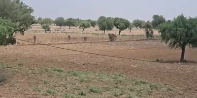 Surajgarh, Jhunjhunu, Rajasthan 333029, India preview 3